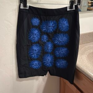 Embroidered Anthropologie skirt